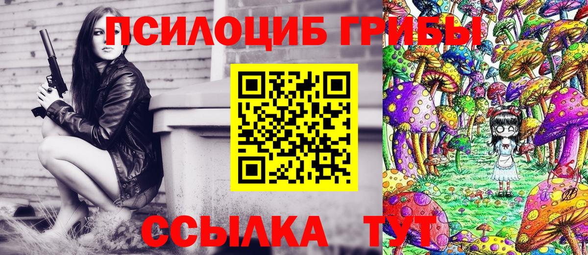 Галлюциногенные грибы Psilocybine cubensis Каменск-Шахтинский