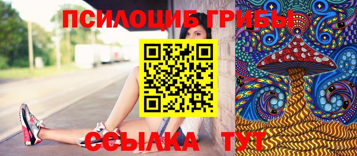 Галлюциногенные грибы прущие грибы  Галлюциногенные грибы Cubensis  что такое   Вход с VPN  Каменск-Шахтинский 